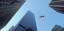 蚂蚁从高处落下为什么不会摔死？