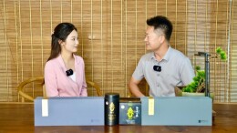 2025湖南茶博会采访团深入吉首 茶乡新活力扑面而来