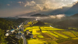 三湘“丰”景线：从云雾梯田到动车稻浪