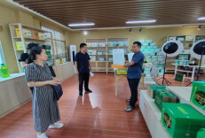 新店坪镇：代表发力，红村共创走共富路