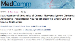 围绕中枢神经系统疾病，湖南中医药大学本科生发表高质量综述文章