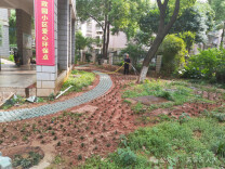 芙蓉区：居民议事会搭台 人大代表发力 破解基层治理“急难愁盼”