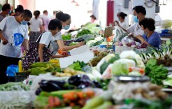 理论·学习头条 | 推动粮食和重要农产品价格保持在合理水平