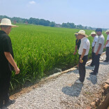 韶山乡人大：为干旱稻田注入“源头活水”