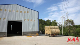 秸秆变“金秆”，君山区探索绿色增收新路径