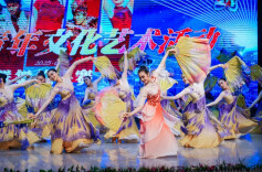 2金1银2铜！湖南中医药大学在第十一届湖南省青年文化艺术活动比赛中创佳绩