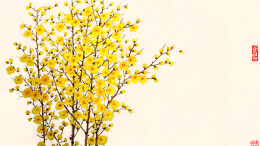 两种新作发布 感受世界赠予汪曾祺的乐趣与温情 