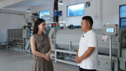 新宁：野茶飘香助力茶产业蓬勃发展