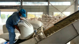 2025湖南茶叶高质量发展“十佳科技领军企业”湖南省碣滩茶集团：风起茶山绿，香随四季长