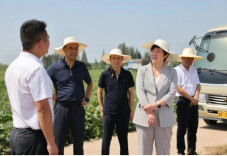 雷欣赴钱粮湖镇调研产业振兴与民生保障工作