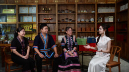 湖南茶博采访团深入瑶乡江华 探访苦茶产业发展新图景