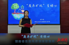 “废弃矿坑”变绿心