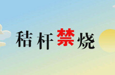 娄底“秸”尽其用降本增效 全市秸秆综合利用率达90.18%