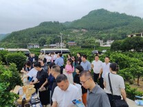 岳阳多部门赴湘西保靖调研对口消费帮扶工作