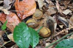 福地怀化 风物季 | 金秋