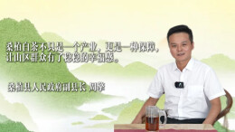 2025湖南茶叶高质量发展“十强县（市）”白茶香处是桑植——在澧水之源，读懂一片叶子的产业密码