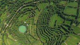 2025湖南茶叶高质量发展“十大品牌”新化红茶：守千年茶脉，筑三产融合振兴梦