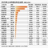 繁荣与阵痛：2025年上半年中国车市分化加剧