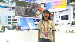 2025年服贸会丨张家界砂石画首秀服贸会