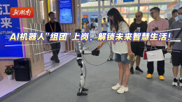 2025年服贸会丨AI机器人