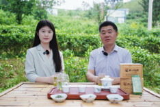 桃江：茶香四溢，产业兴荣