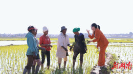 全省首个！“全国三八红旗手李洪梅工作室”落户非洲