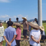 溆浦县双井镇：秸秆回收开启绿色循环新篇章