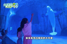 海洋生物科普讲解｜白鲸：海洋里的“歌唱家”