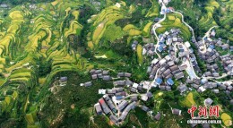 广西三江：雨后梯田风光美