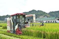 连续四年单产突破1100公斤！湖南生物机电职业技术学院隆回超级稻示范基地再创新绩