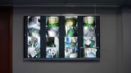 2025湖南茶叶高质量发展“十佳科技领军企业”湖南省茶业集团：湘茶新语未尽，且待回甘