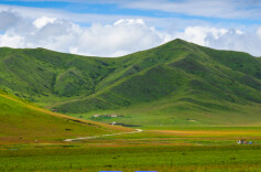总数亚洲第一！我国已有34个自然保护地成为世界生物圈保护区