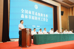湖南在全国林草系统秋冬季森林草原防火工作会议上作典型发言