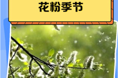 秋季花粉过敏，怎么应对？