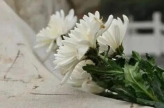 冷水江市多部门联合推进殡葬领域专项整治