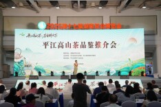 平江高山茶品鉴推介会举行 品牌建设再添新动力