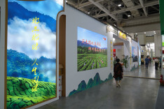 “郴州福茶”香飘星城，郴州茶军“抱团”闯市场