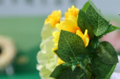 全减免、多奖补，郴州市出台殡葬惠民新政