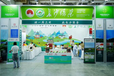 逛茶博会，品长沙绿茶，浓郁茶香绕茶博