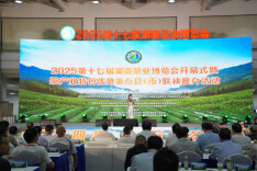 2025第十七届湖南茶业博览会启幕