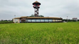 宁乡双江诗经小镇蒹葭园启幕：千年诗脉赓续，文旅融合新篇