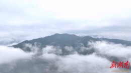 【大美鹤城】 秋日云海翻滚犹如仙境