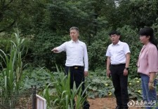 暗访抽查！娄底：揪住不放、一抓到底、彻底整改
