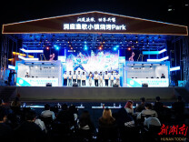 电竞文旅融合新篇章：王者荣耀全国大赛南大区赛点亮岳阳