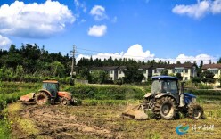 靖州：“秸”尽所能 点燃农业绿色可持续发展新引擎