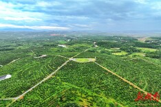 永州市仁湾街道：一村一品“活春水” 产业融合绘富图