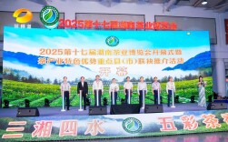 5.75亿成交额、6.3万逛展人次！2025湖南茶博会收官，湘茶从“一叶”破局迈向“全链”新未来