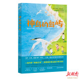 在儿童文学《神鸟的岛屿》中，读懂少年们的坚守