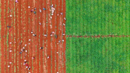 当秋分撞上丰收节！湖南：我的秋天“湘”当丰收