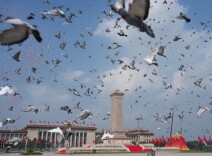 人类和平与发展的崇高事业必将胜利